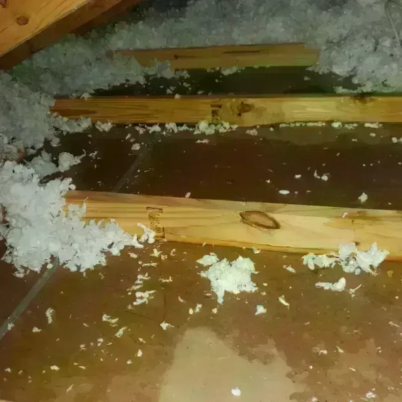 Attic Water Damage in Weston, WV